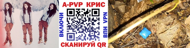 А ПВП крисы CK Грязовец