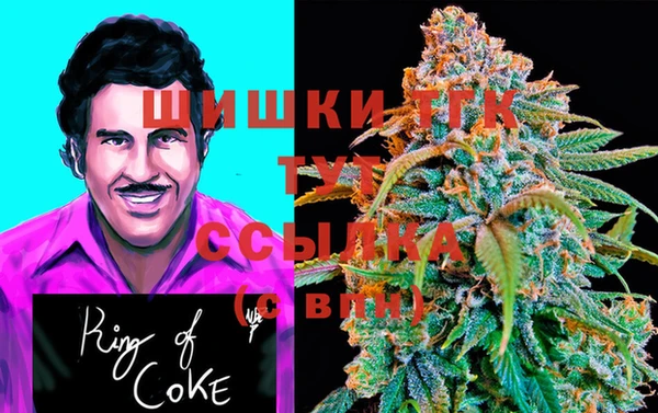 spice Алексин