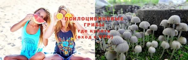 твердый Алзамай