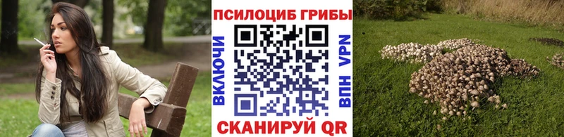 Галлюциногенные грибы GOLDEN TEACHER  Грязовец 