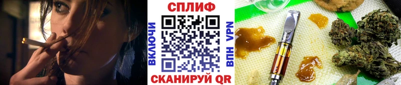 даркнет какой сайт  наркота  Грязовец  Бошки Шишки гибрид 